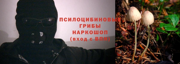 таблы Богородск