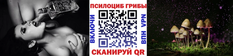 Галлюциногенные грибы прущие грибы  где купить наркоту  OMG   Тулун 